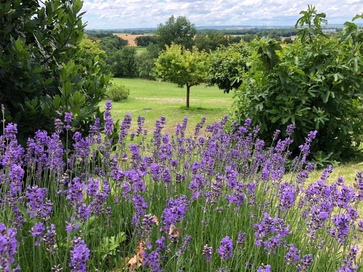 La Ferme Buissonniere Bed & Breakfast Bardou ภายนอก รูปภาพ