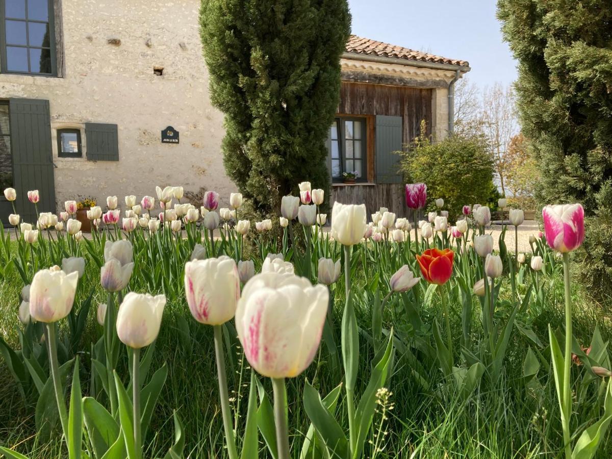 La Ferme Buissonniere Bed & Breakfast Bardou ภายนอก รูปภาพ