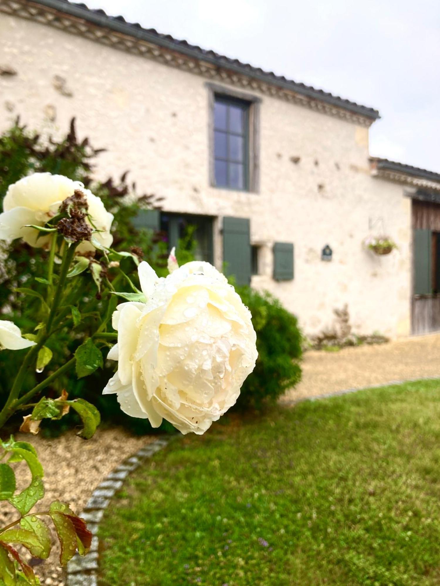 La Ferme Buissonniere Bed & Breakfast Bardou ภายนอก รูปภาพ