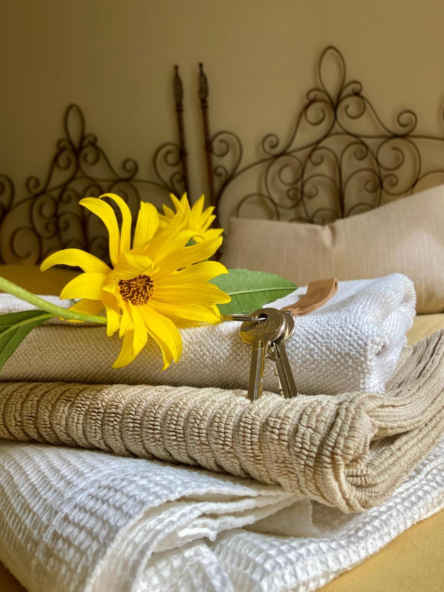 La Ferme Buissonniere Bed & Breakfast Bardou ภายนอก รูปภาพ